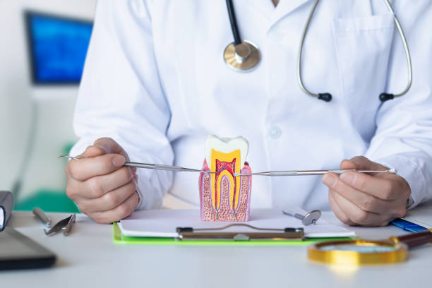 Best Mobile Emergency Dentist in Guttenberg, NJ